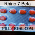 Rhino 7 Beta 06